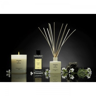 Tuberose & Jasmin Doftljus 230g