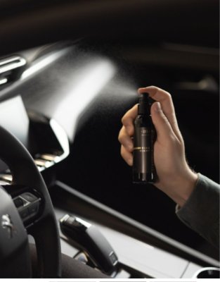 Bildoft Spray 100ml